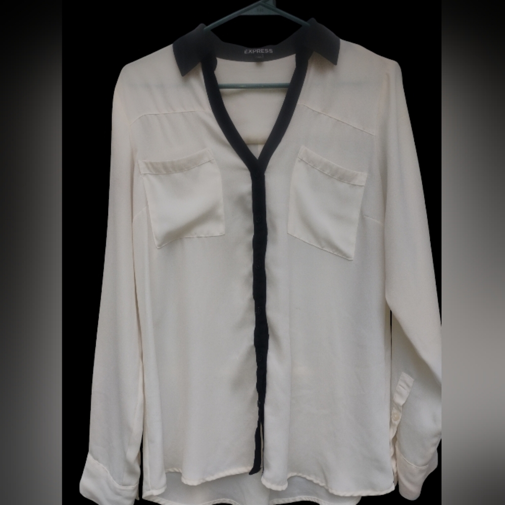 Express button down bliuse